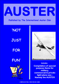Austers - Not Just for Fun